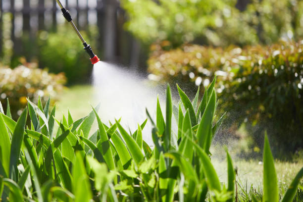 24/7 Emergency Termite Control experts in Palermo, CA